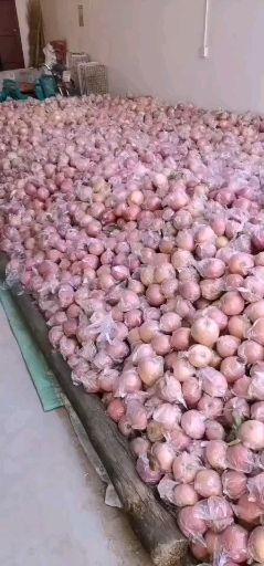 陕西膜袋红富士苹果产地上市价格