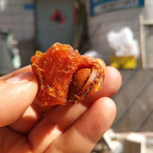 可克达拉吊干杏  上市新疆自然吊死干