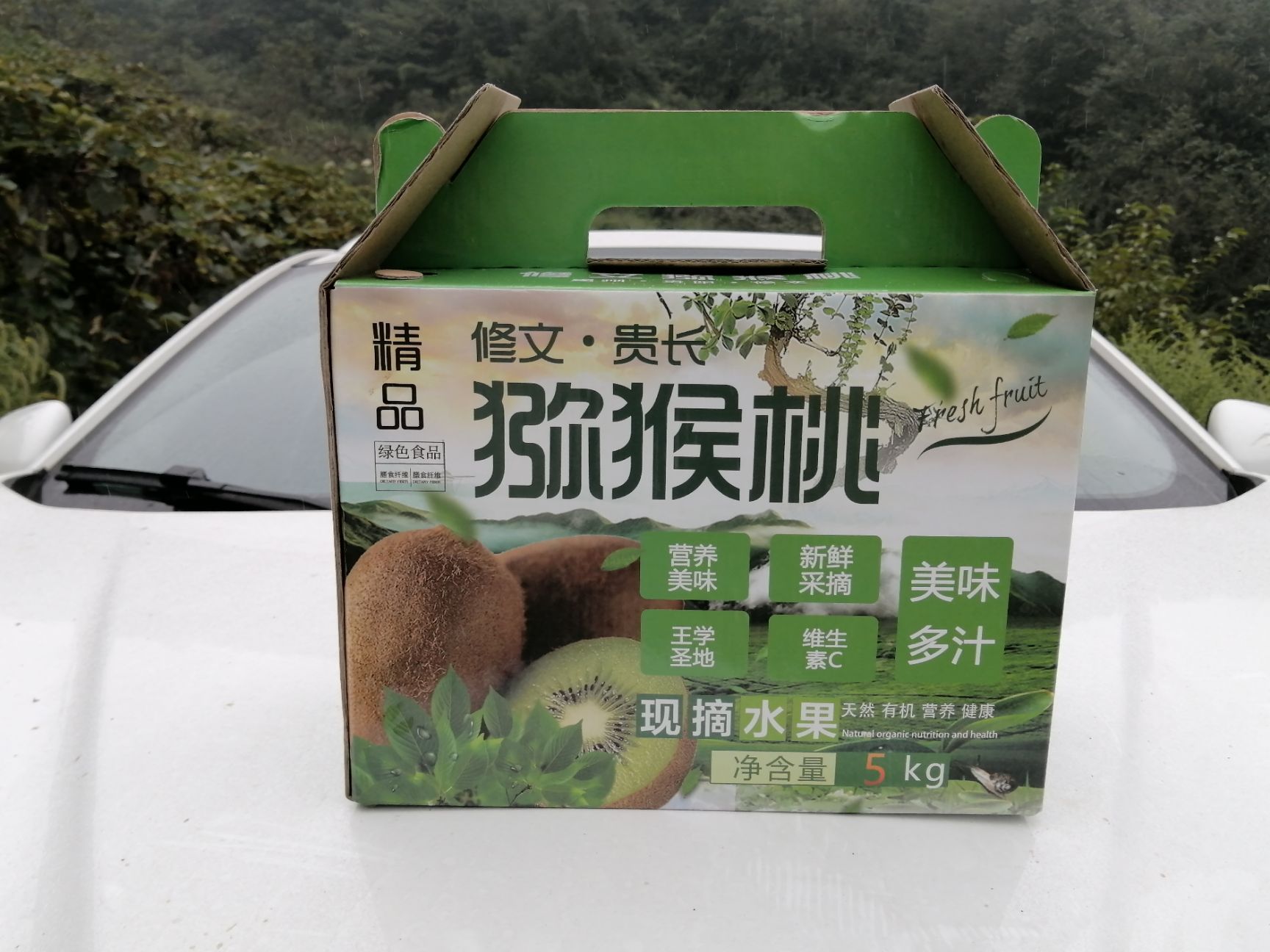 贵长猕猴桃