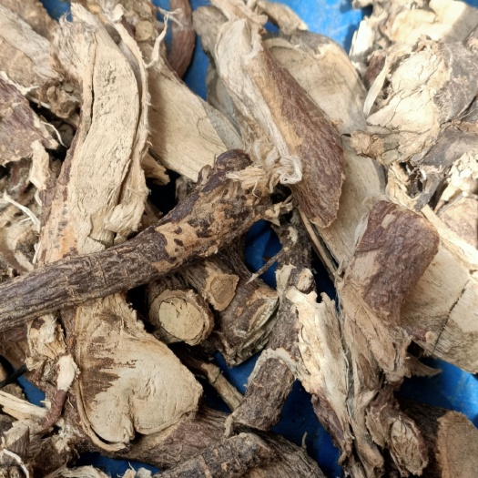  了哥王新鲜了哥王根 雀仔麻 九信草 山豆了 地棉根