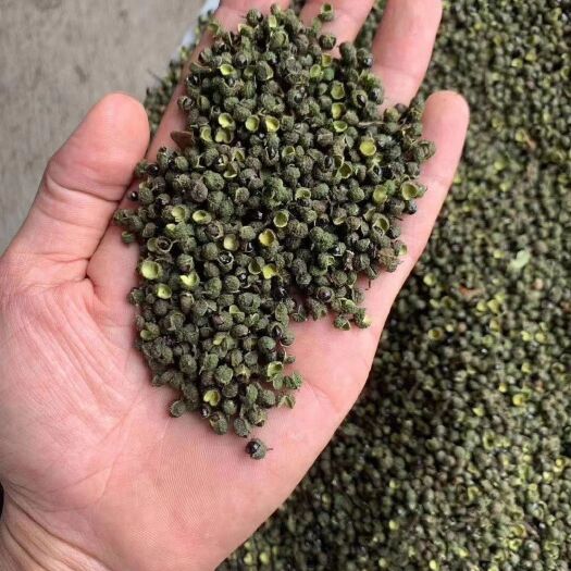 大理市青花椒实拍颜色绿开口多价格美丽，100斤一件