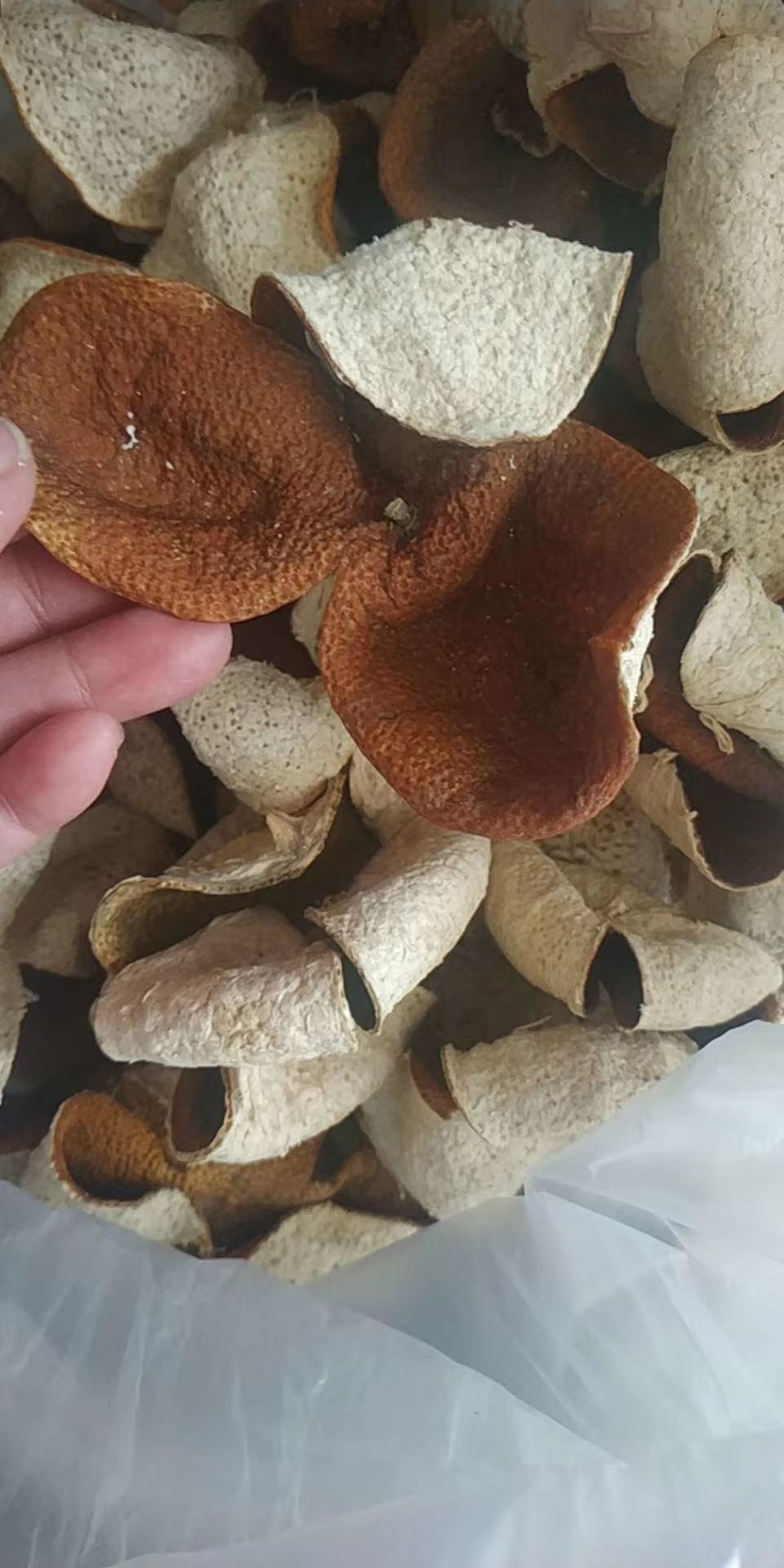 新会陈皮 