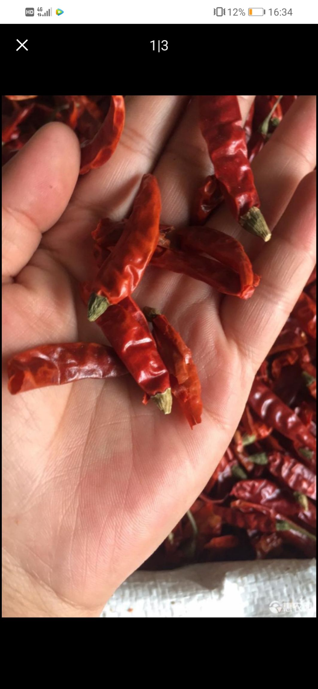 印度干辣椒  印度爆辣魔鬼干辣椒  一包切一包 带籽