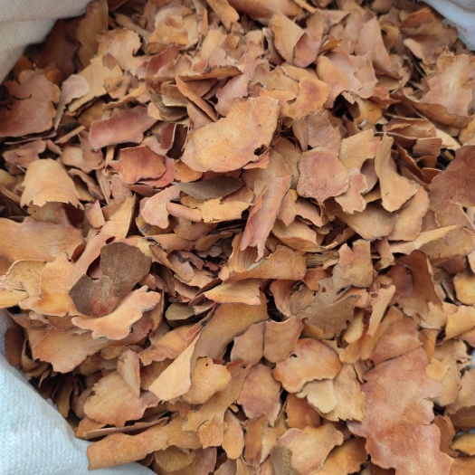 安国市土茯苓薄片