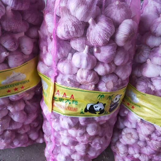 金乡县红皮大蒜  精加工大蒜，大吨位供货，保证质量，供应国内市场超