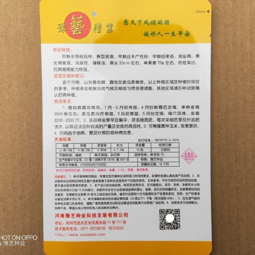 新郑市羊角椒种子 羊角椒，果实丰满圆润，株型紧凑，抗病虫