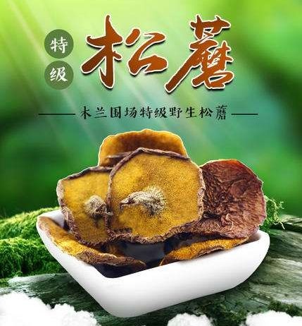 圍場(chǎng)縣松樹菌 干貨 通貨 野生 