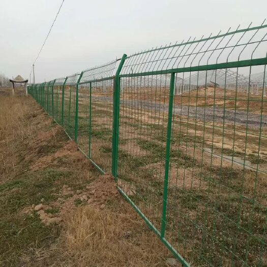 安平县格栅  地边围栏网 河道护栏 绿色浸塑双边丝护栏