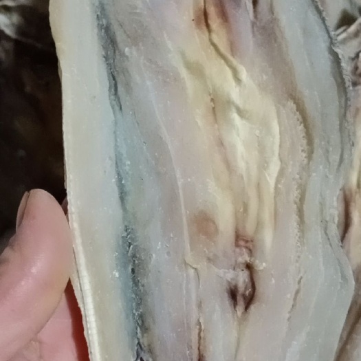 广州小鱼干  鲨鱼干，现货供应