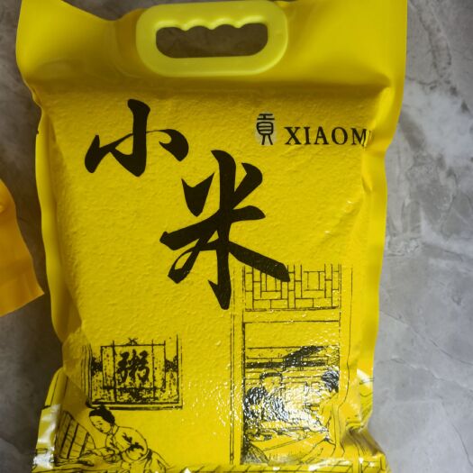 朝阳县黄小米 