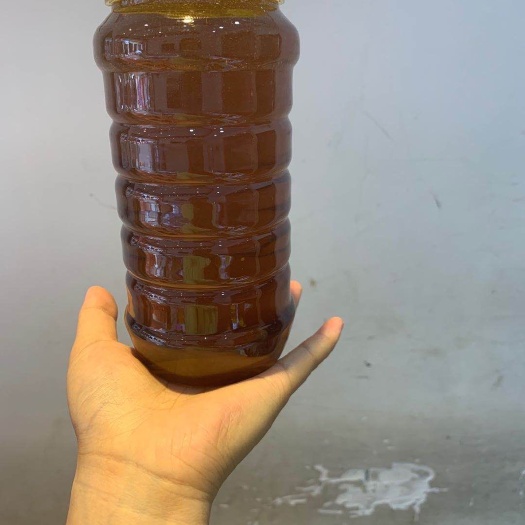 绥宁县土蜂蜜  绥宁蜂蜜