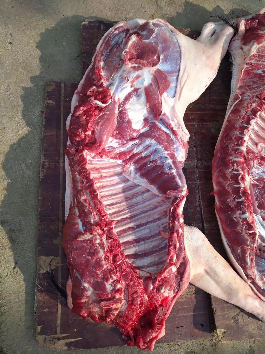 五花肉  杂交改良山猪肉