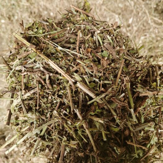正阳县 花生秧