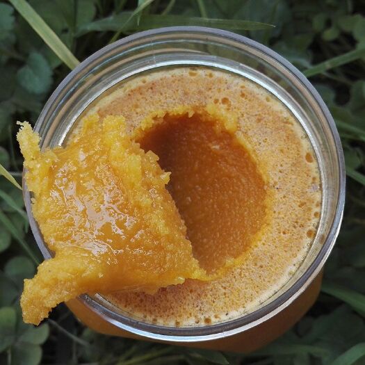 陇南深山老农蜂蜜土蜂蜜大山的馈赠