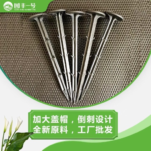 崇义县防草布专用地钉固定钉加大盖帽钉