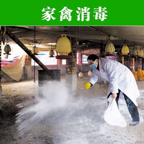 福建地区大量供应石灰，石灰粉