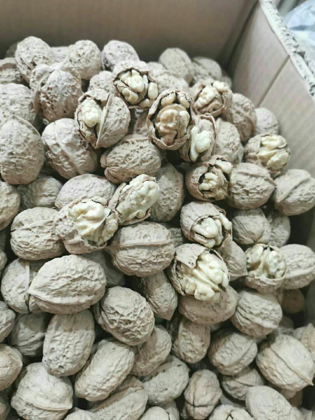 新疆纸皮185大核桃香脆可口核桃一箱20斤批发