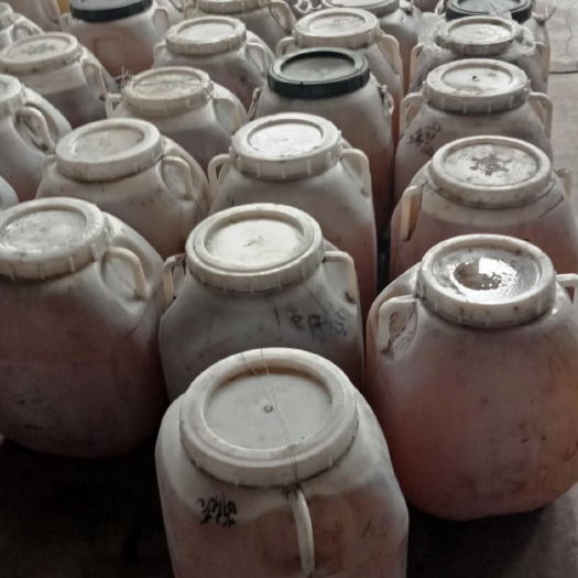 长春荆条蜜  荊条蜂蜜