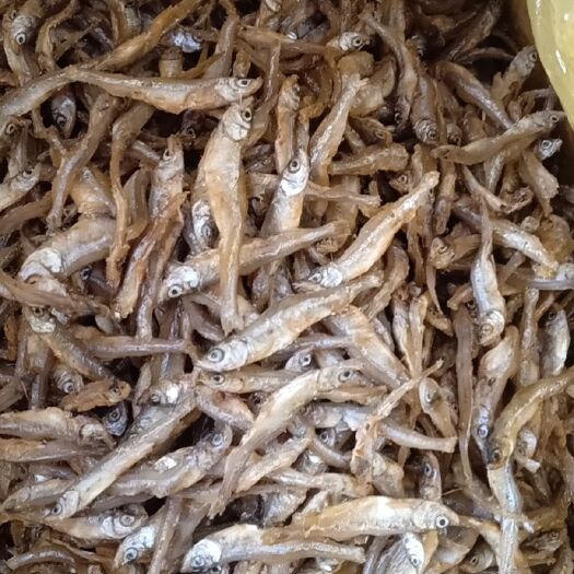 上饶小鱼干 6-12个月
