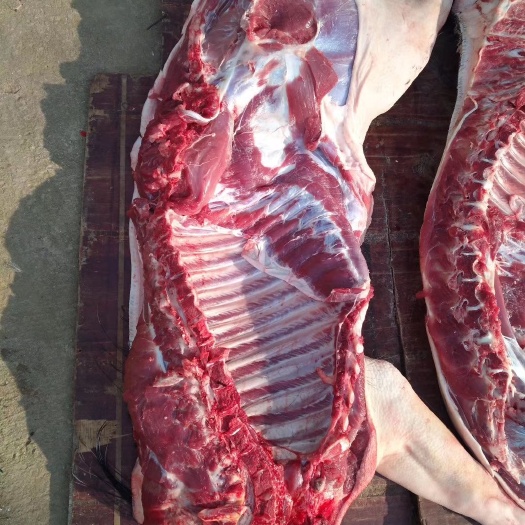 土猪肉  杂交改良山猪肉，散养1年时间，吃五谷杂粮长大。