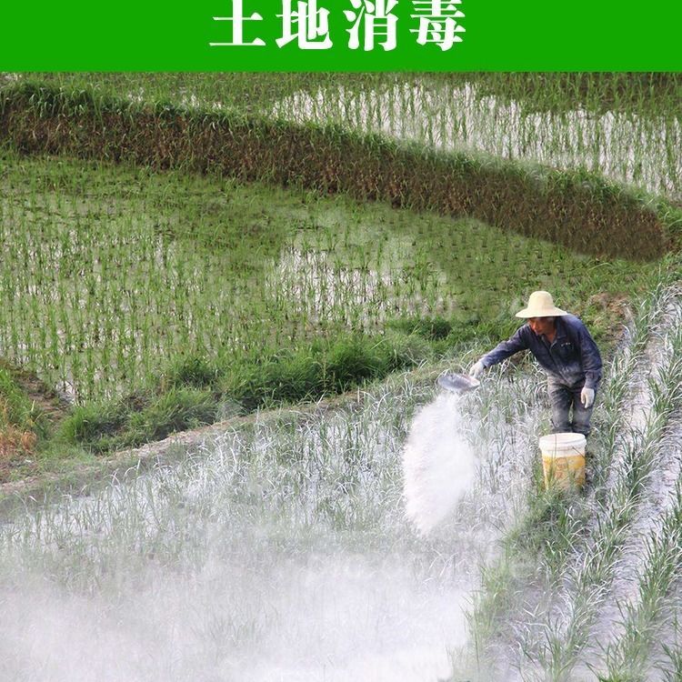 福建地区大量供应石灰，石灰粉