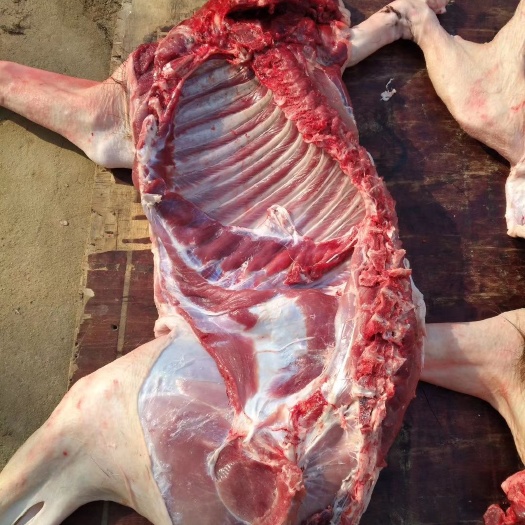 五花肉  杂交改良山猪肉