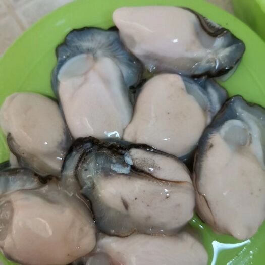 饶平县牡蛎肉 肥美生蚝