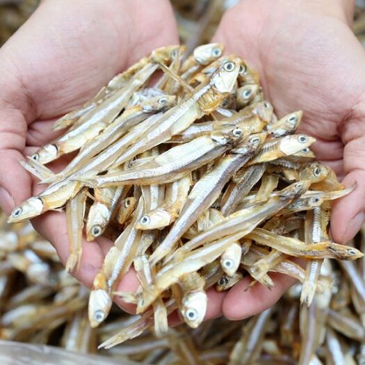 合浦县小鱼干 6-12个月 