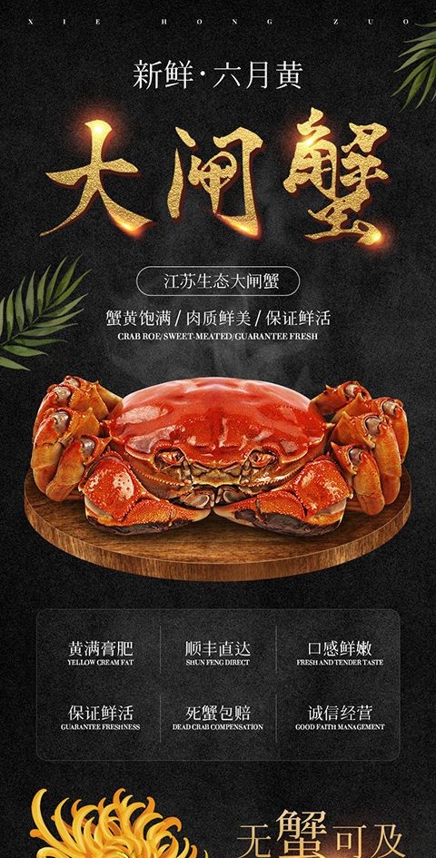 苏州江苏六月黄新鲜现货全母特大公母螃蟹六月黄大闸蟹最鲜美的大闸蟹
