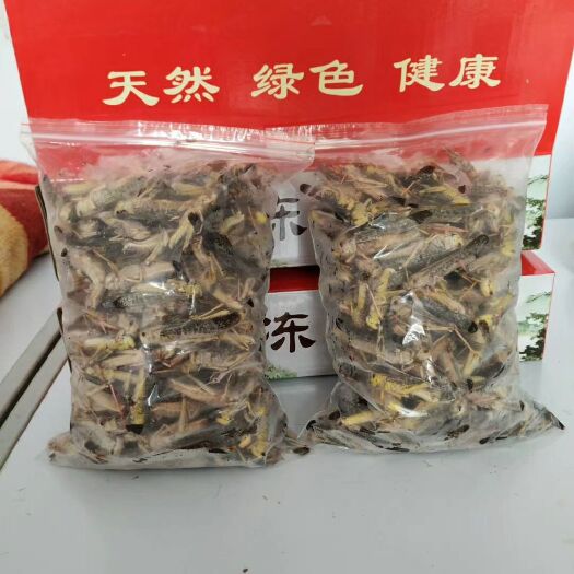 辛集市速冻蚂蚱