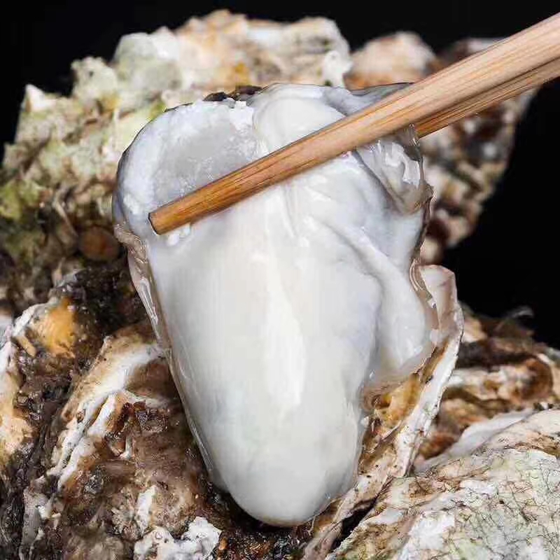 乳山牡蛎鲜活生蚝 海蛎子直发 空运冷链包邮