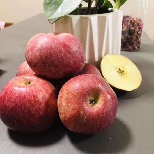 盐源县盐源丑苹果冰糖心产地直销现摘现发包邮到家