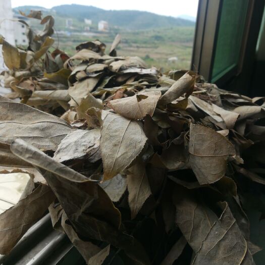 松桃县箭叶淫羊藿  淫羊藿茶可提神补神，调节腰疼等