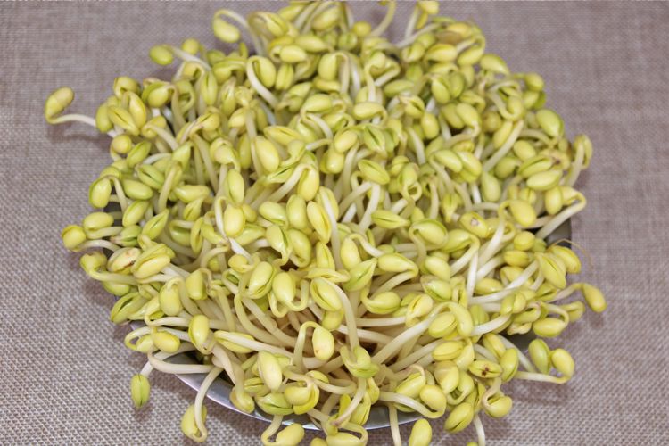 新豆5斤笨黄豆大豆东北农家自产黄豆非转基因发豆芽豆浆豆腐