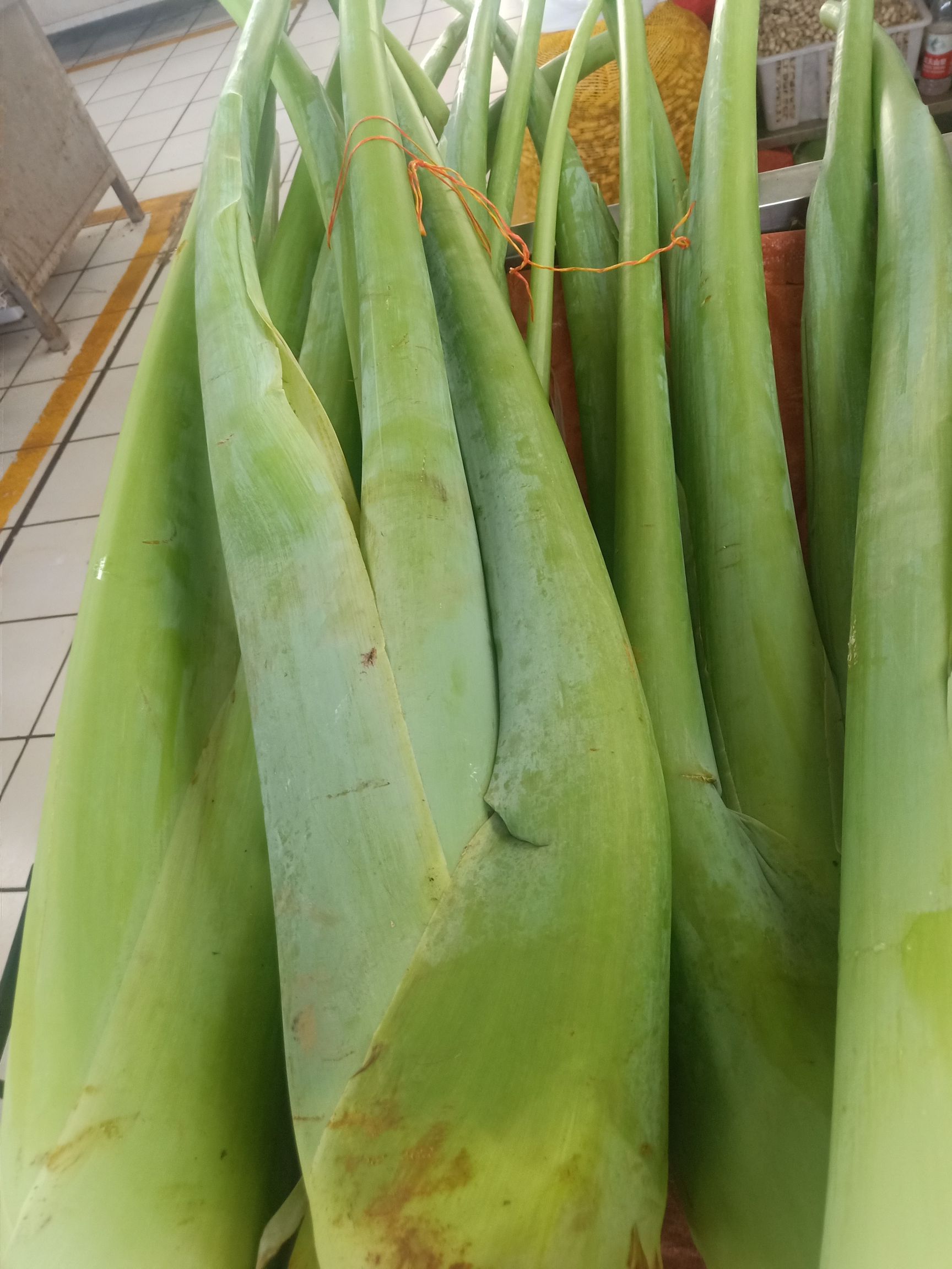 思茅2021年云南普洱滴水芋_芋梗
