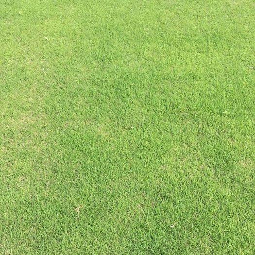 钟祥市百慕大