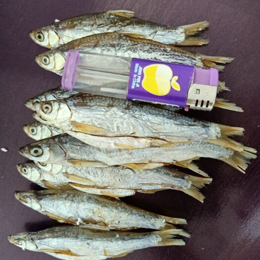 洪湖市虾干  烟熏鲮鱼，风干刁子，风干翘嘴鱼，火焙泥鳅干，速冻小餐条鱼