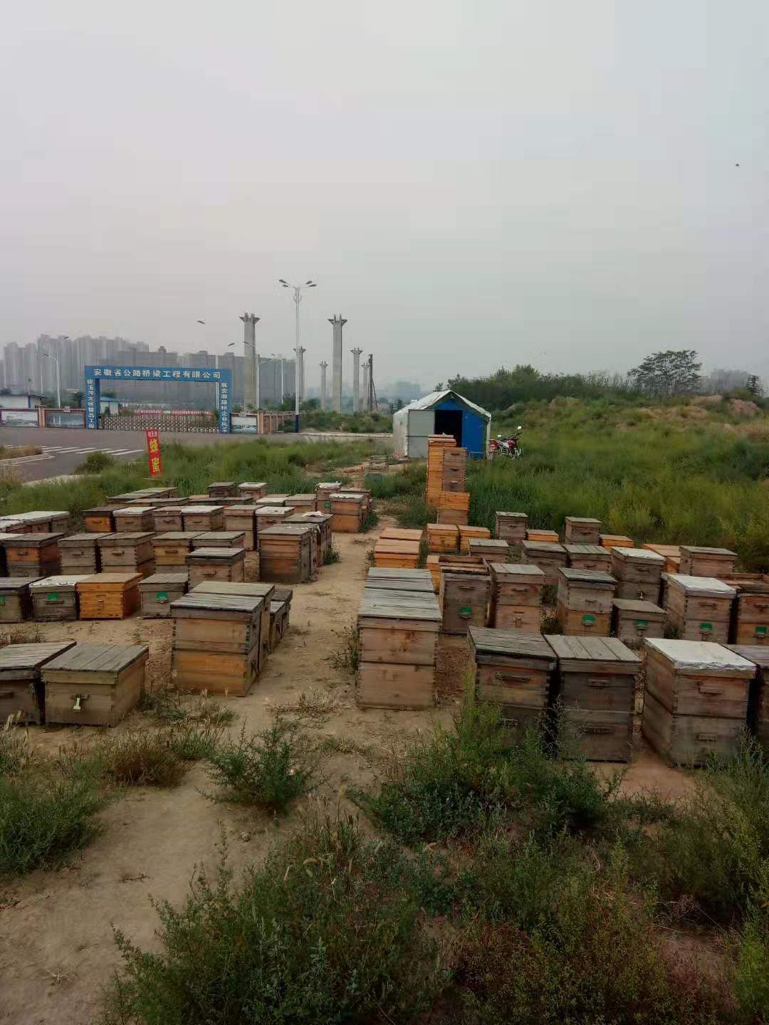 土蜂蜜 天然蜂蜜绿色食品，