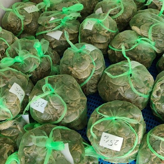 兴化市季节性大量供应  兴化大闸蟹 湖北  小龙虾