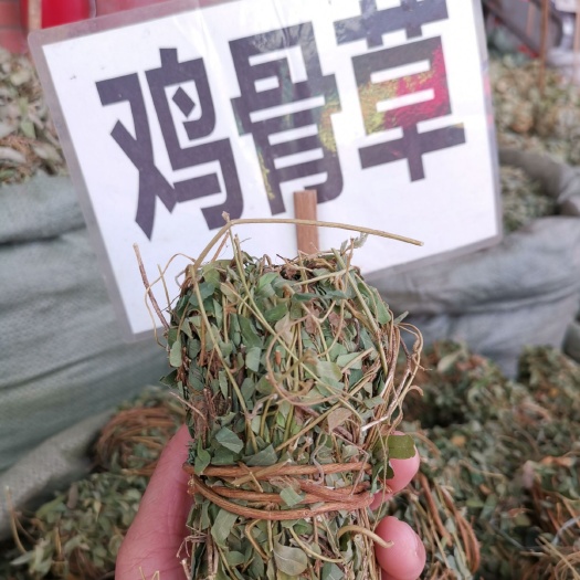 龙州县广西鸡骨草