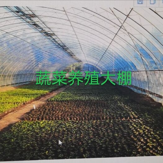 天津大棚管 承接全国各地大棚骨架设计图纸预算