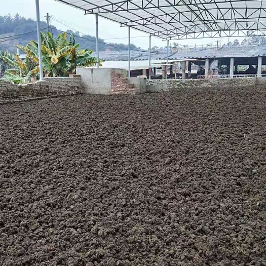 沭阳县禽畜粪 阳光棚水泥地日晒纯猪粪块
