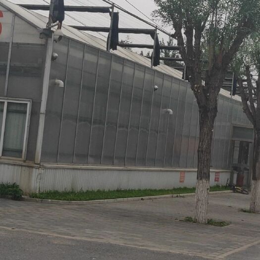 种植大棚 出售5000平阳光板温室，常年收购出售！二手温室大棚，钢结构