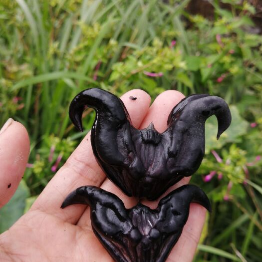 祁阳市祁阳，山水菱角！高山下流水田种植！
