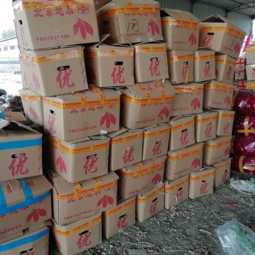 雄县蜜薯8到2斤烤块香甜可口