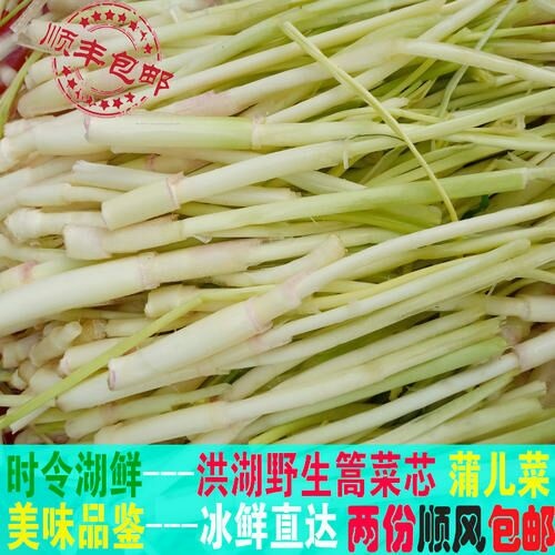 怀远县 大河湾蒲菜，就是好。