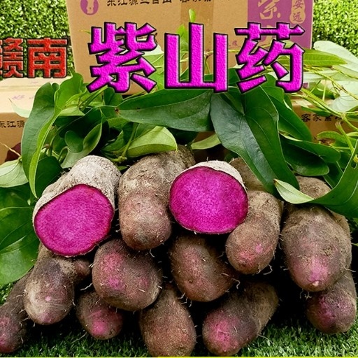 安远县紫山药农户发货.紫山药产地供货一件代发