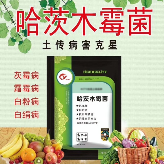冲施肥  哈茨木霉菌200亿/克   抗死棵  抗烂苗消除真菌病害
