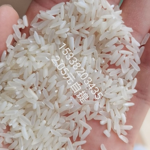 黄花粘大米  19年丰两优混黄花粘