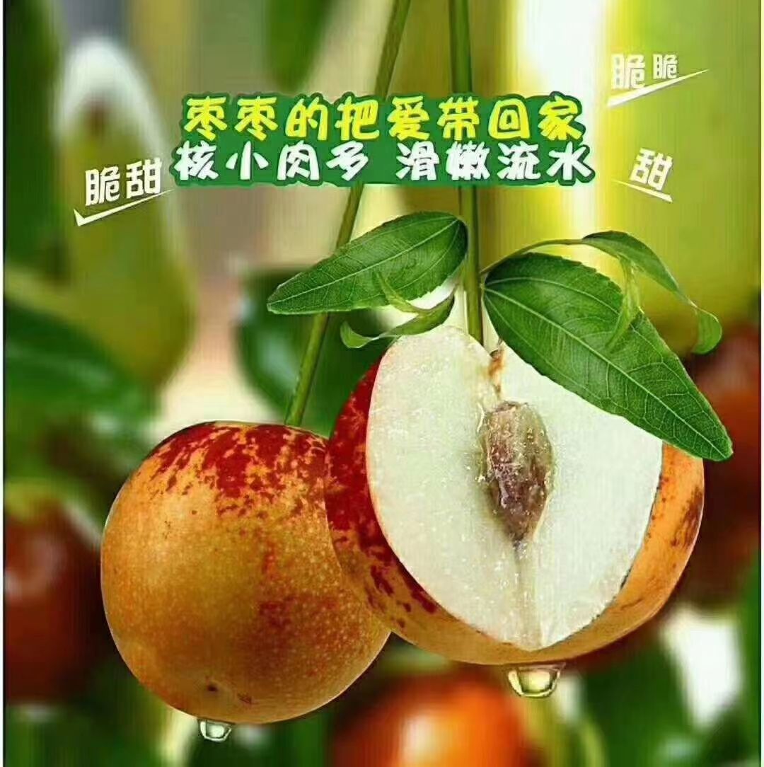 冬枣 拐二 20-30g 